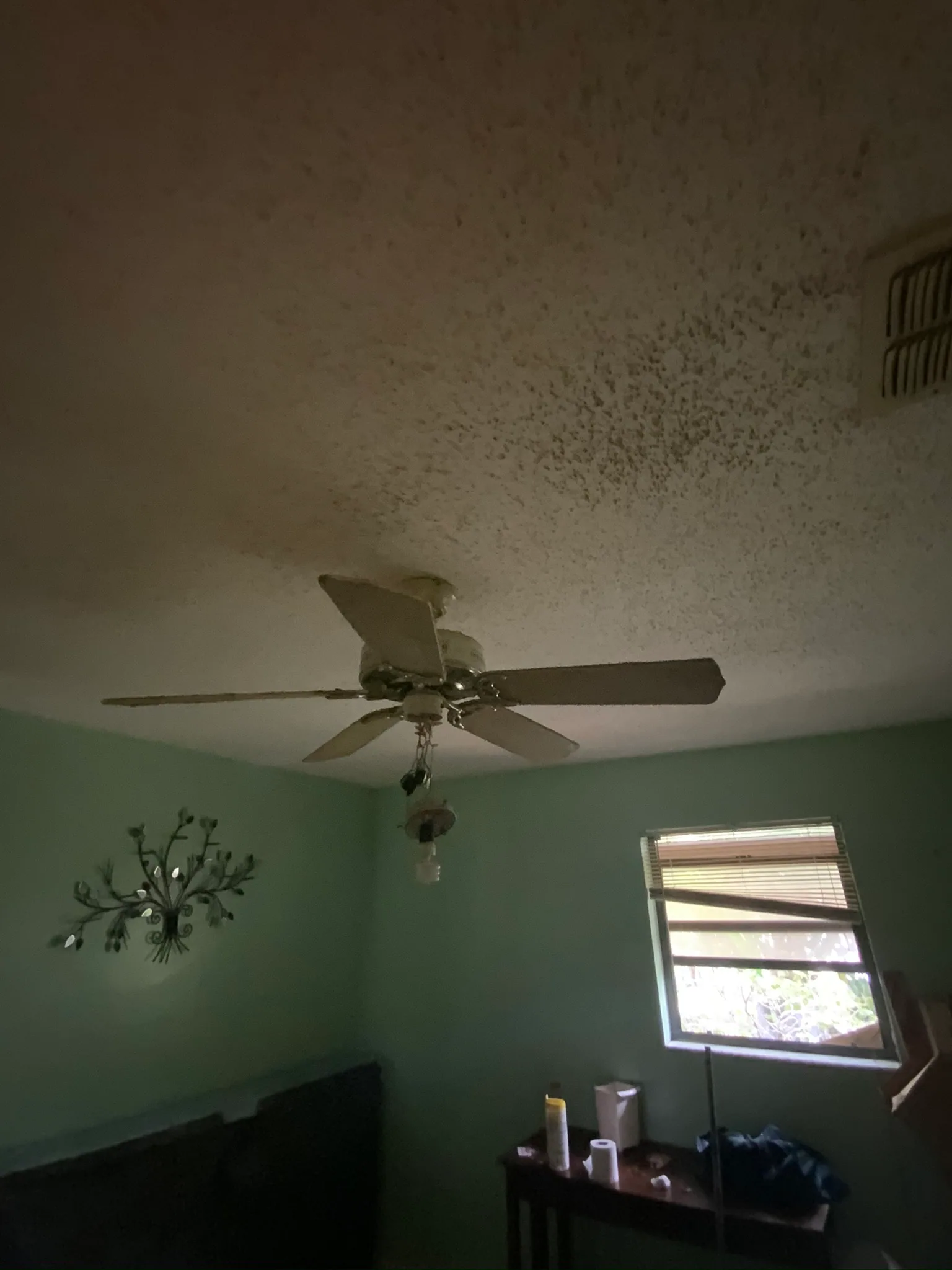 Ceiling condition reviewed during the Jupiter walkthrough