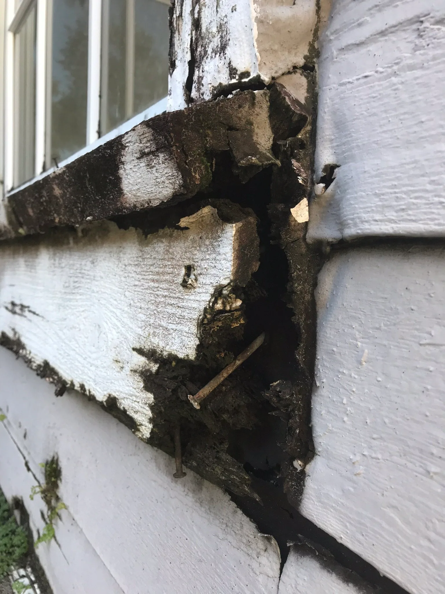 Florida exterior wood rot reviewed by FL Home Buyers