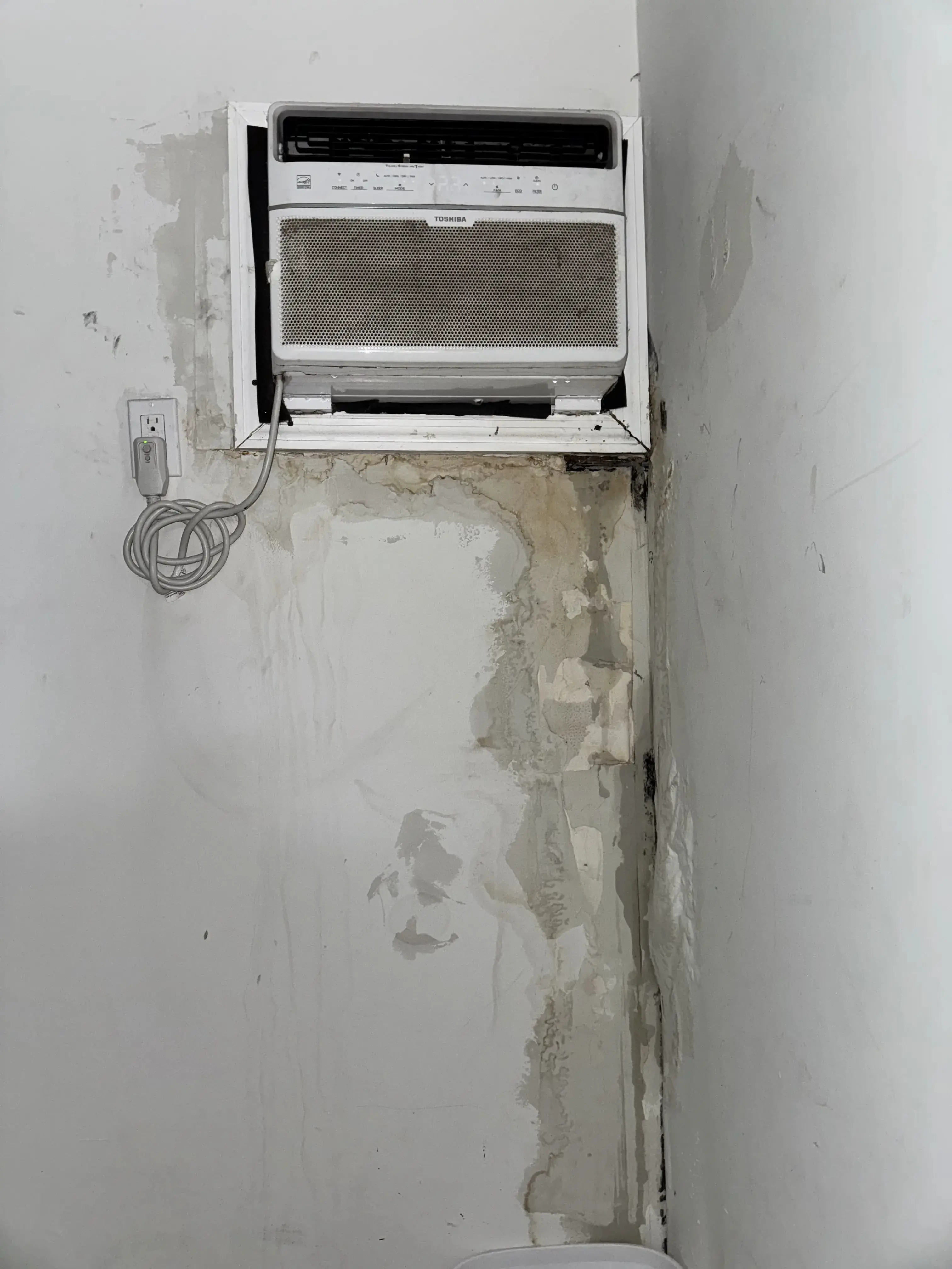Water damage and mold growth below AC unit in Florida home