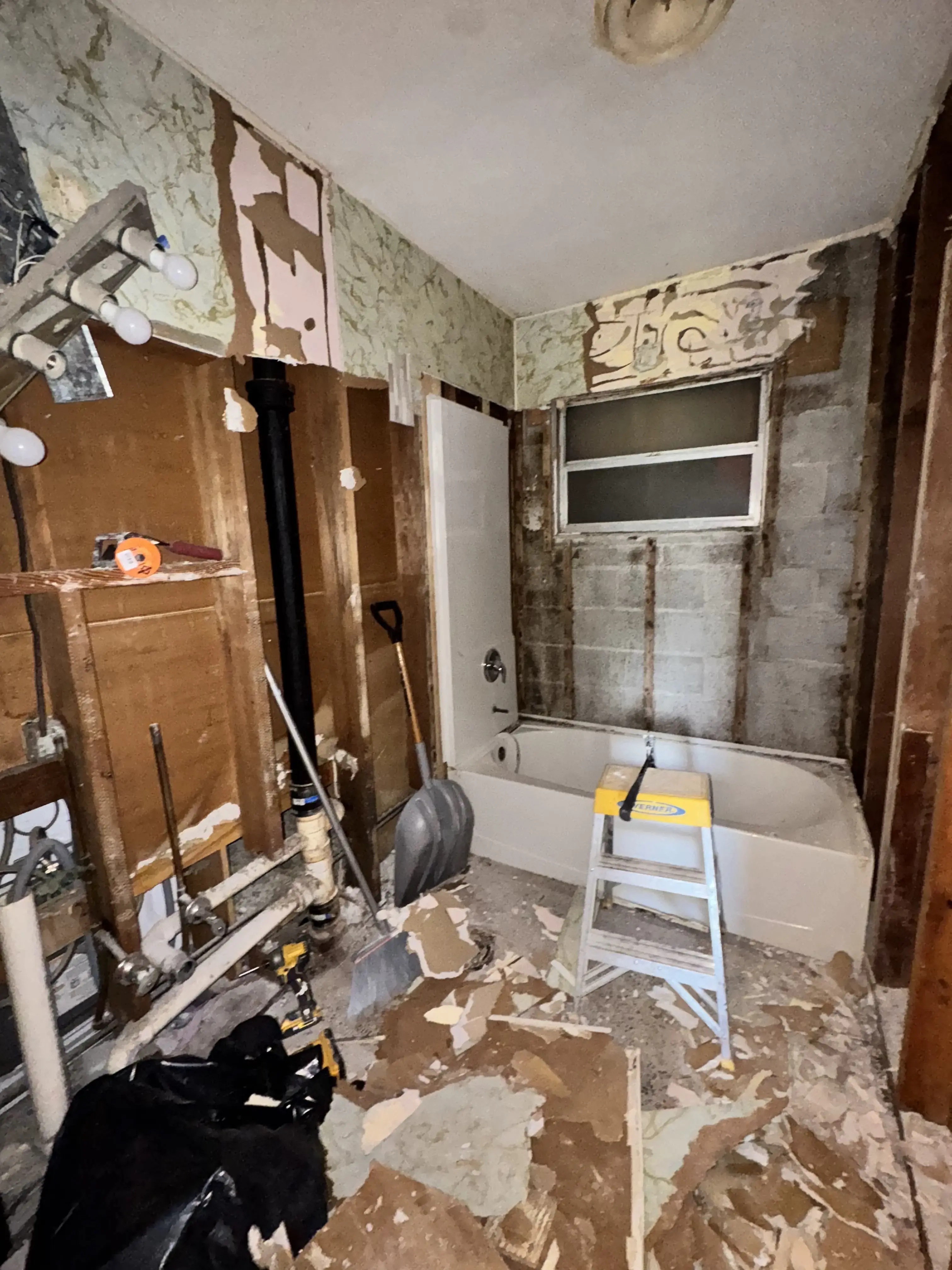 Bathroom during mold remediation with drywall removed exposing studs and pipes in Florida home