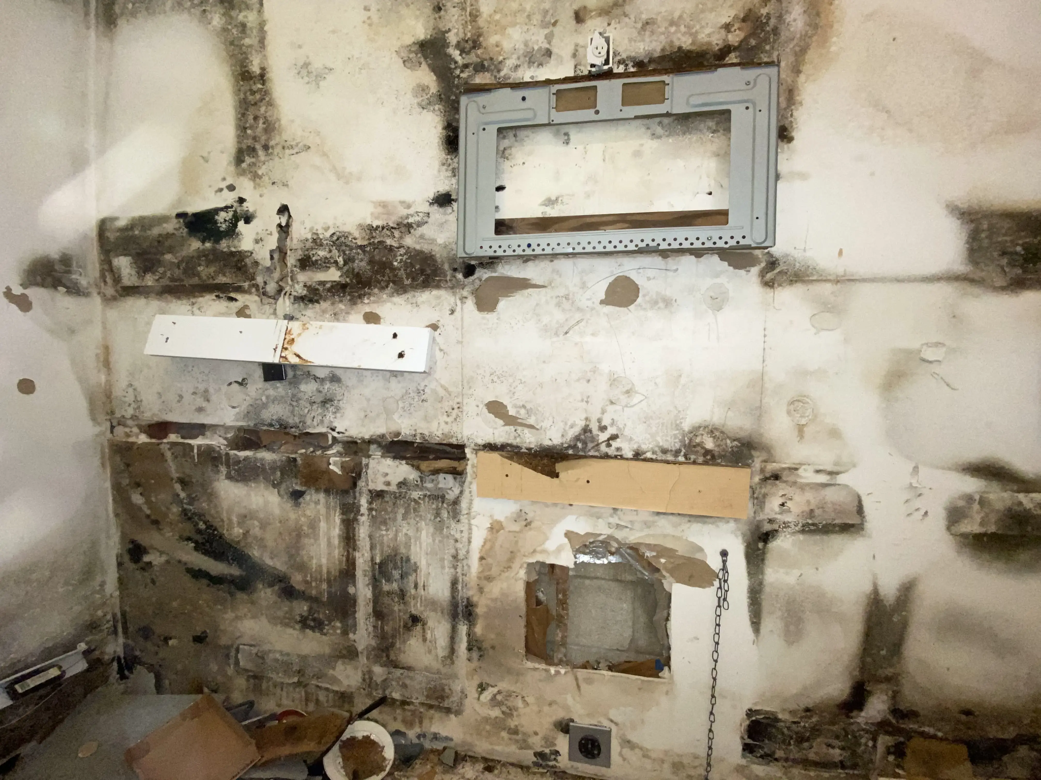 Severe mold damage on kitchen wall in Florida home showing extensive black mold growth requiring professional remediation