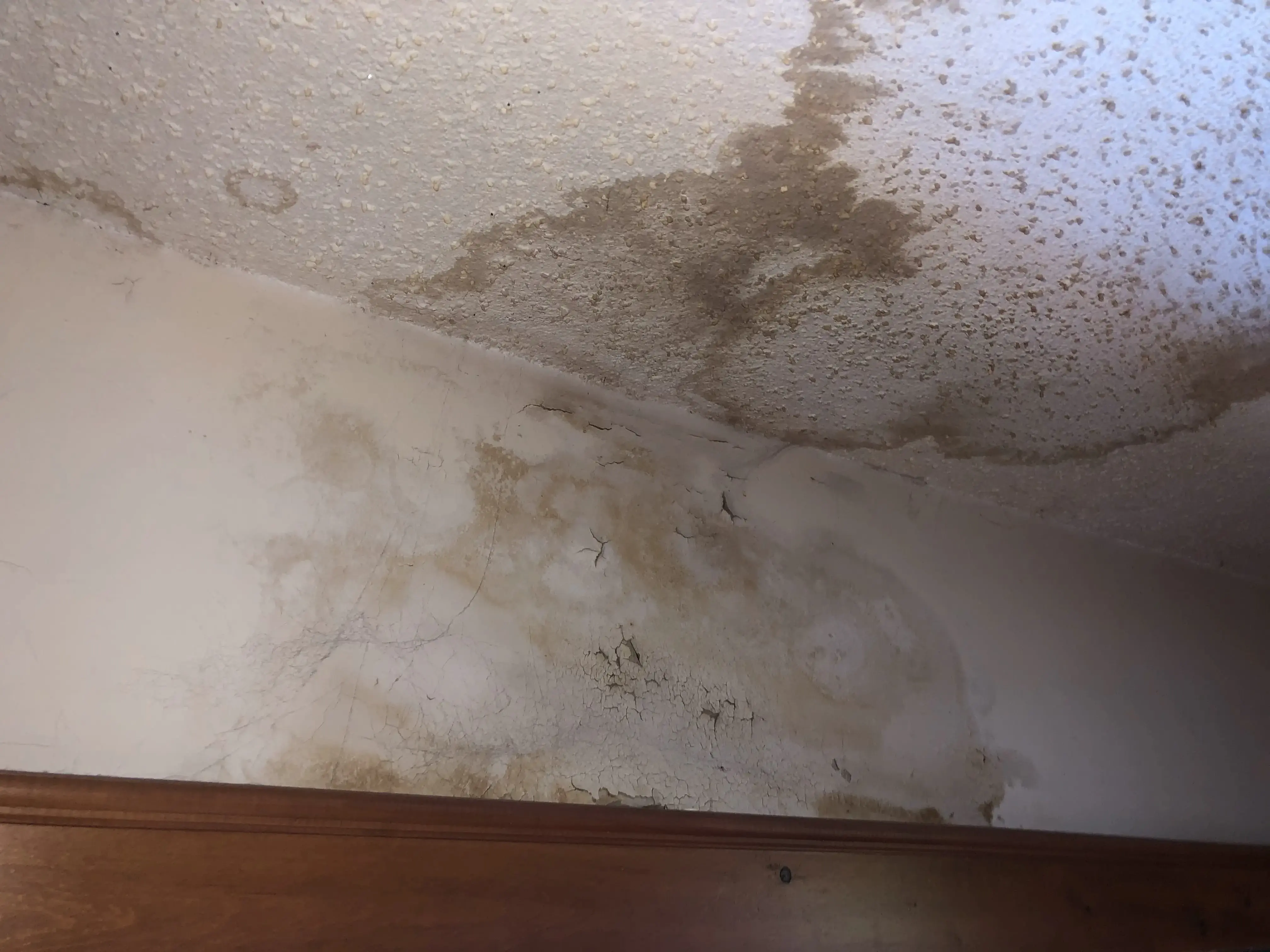 Popcorn ceiling with water damage and mold staining in Florida home