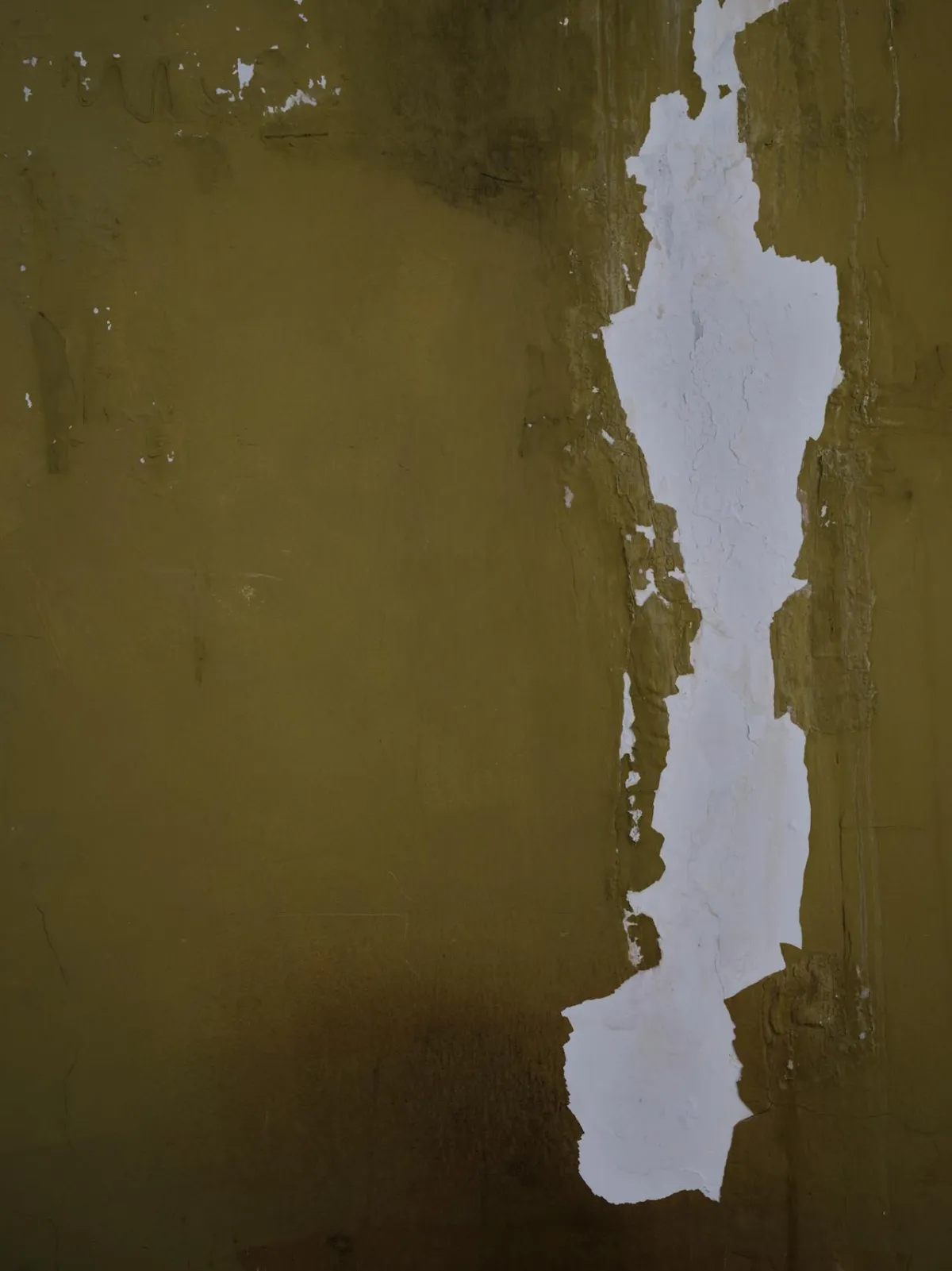 Damaged drywall in Florida home